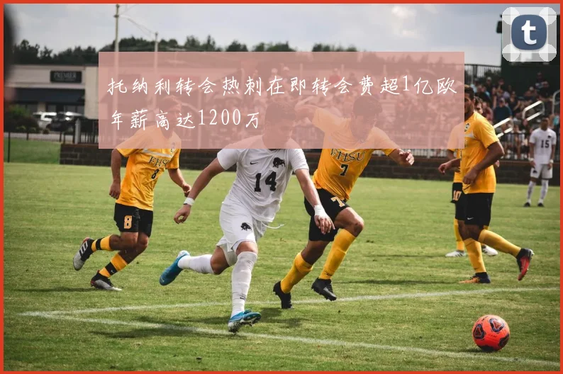 托纳利转会热刺在即转会费超1亿欧年薪高达1200万