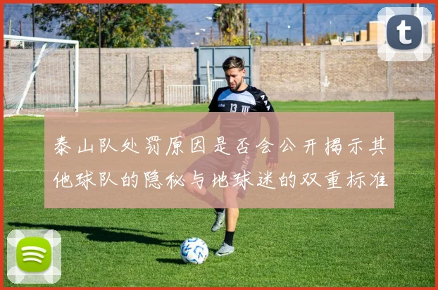 泰山队处罚原因是否会公开揭示其他球队的隐秘与地球迷的双重标准